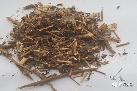 医生报道三七伤肝是真的吗,三七伤肝还是护肝