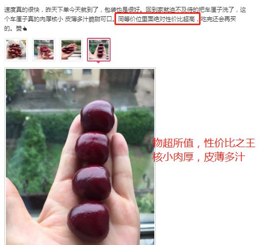 赣州车厘子最新官方消息,赣州产车厘子