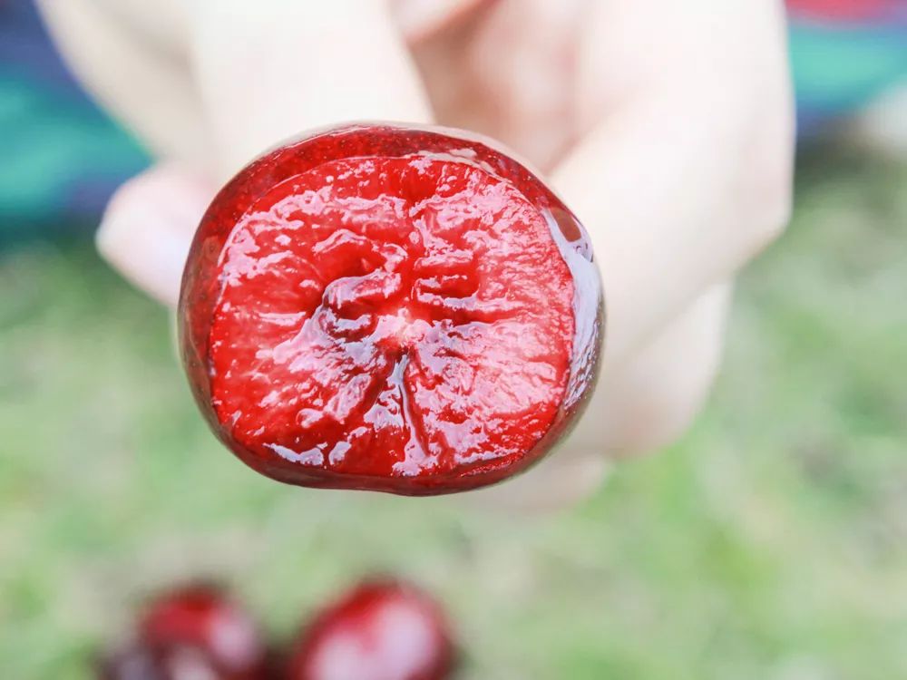 赣州车厘子最新官方消息,赣州产车厘子