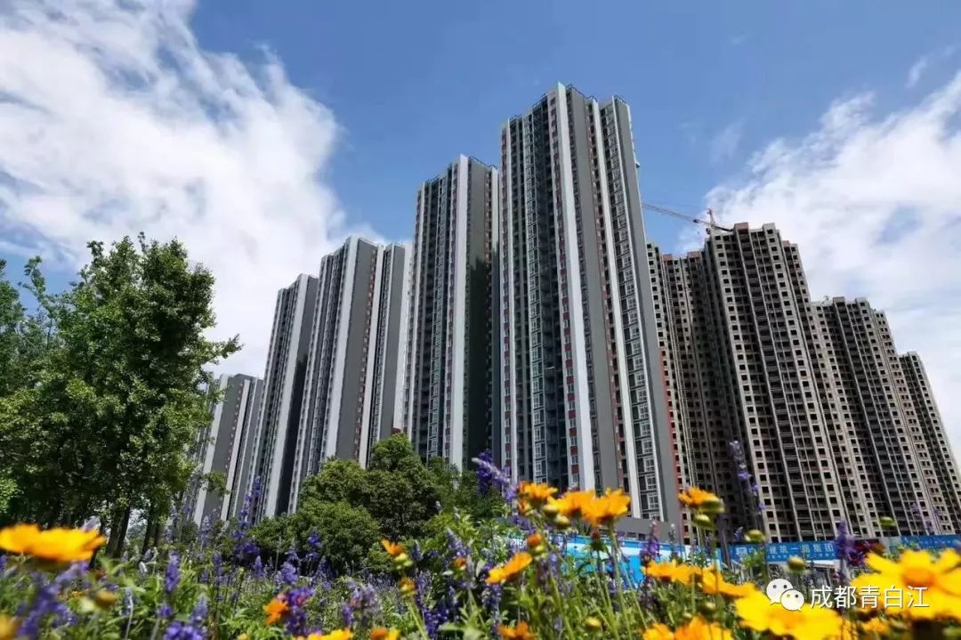 成都市青白江区重点项目计划,青白江升级规划