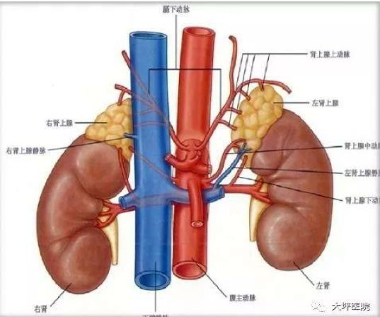 被忽视的健康,被轻忽的疾病藏着致命的风险