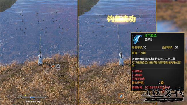 体服最新消息,体服速报神秘活动