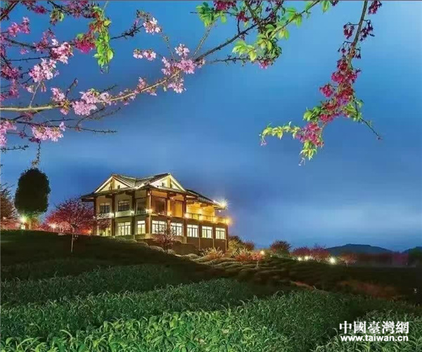 台农畅谈大陆发展前景,台农创业新消息