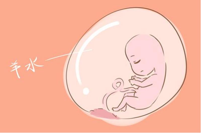 血糖高备孕怎么降血糖,血糖高备孕怎么办