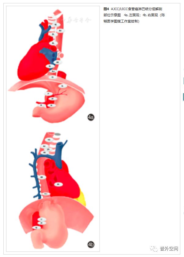 食管胃结合部腺癌怎么治疗,胃食管结合部癌中药治疗