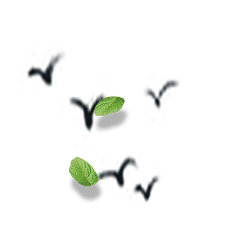 检声廉韵丨苟冬云：玉与高尚品质，孰值？