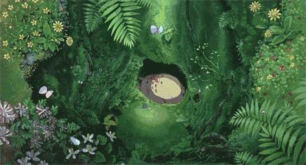 龙猫30年视频,龙猫三十年后是什么样子