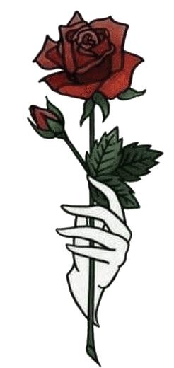 北半球的我突然向往南半球的温暖