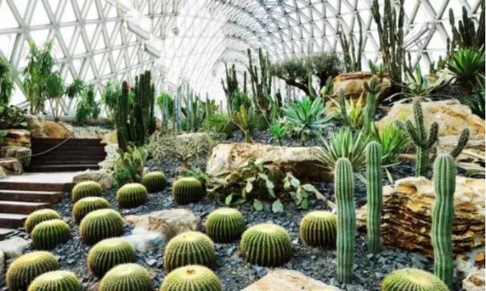 冬天没个好玩的地方,冬天没有好玩的该玩什么