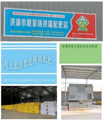 湖北洪湖陈红莉,陈红莉洪湖