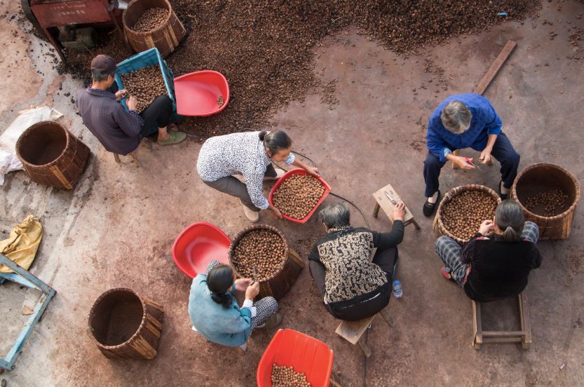 多种口味的山核桃,正宗天然山核桃