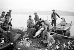 看看60年前，密云水库是这样建起来的，周总理还曾亲自视察坝址