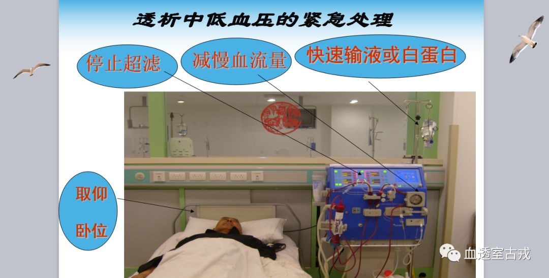 血液透析护理问题及措施,血液透析病人抢救原则