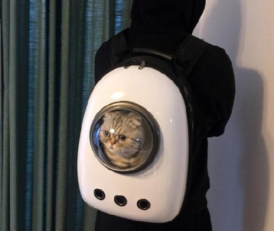 乘客带宠物坐网约车,乘客带狗坐网约车可以拒载吗