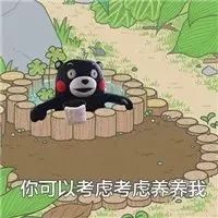 想养一只大熊猫有多不容易,中国养一只大熊猫的费用