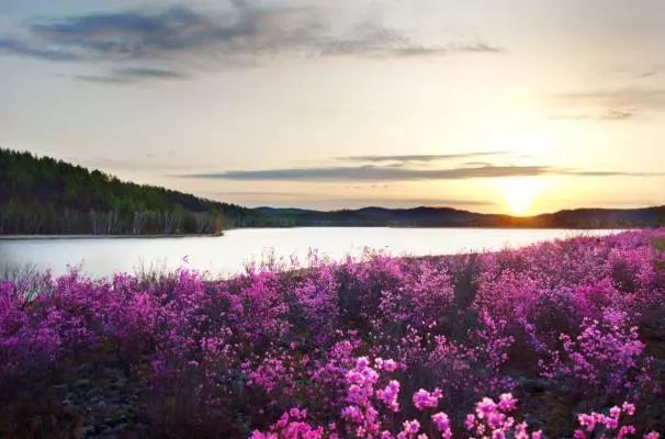 鄂伦春：从实际出发走文化和旅游深度融合发展之路