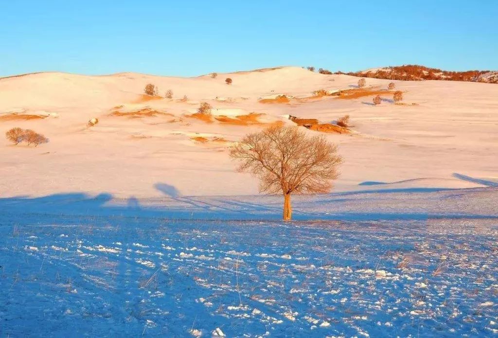 冰雪节到冰雪大世界,冰雪节很好吗