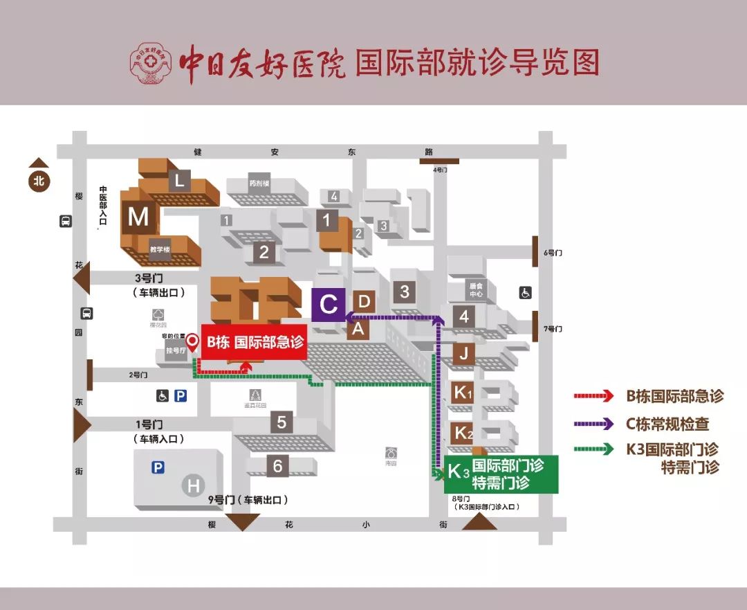 【原创科普】肛裂为何难以自愈？