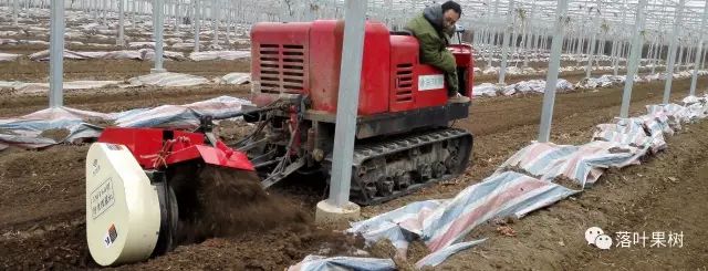 葡萄园用的机器,葡萄园用的设备和工具