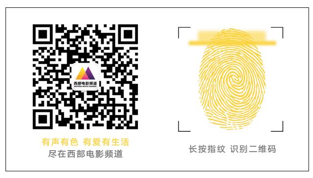 电影黎巴嫩,黎巴嫩电影何以为家