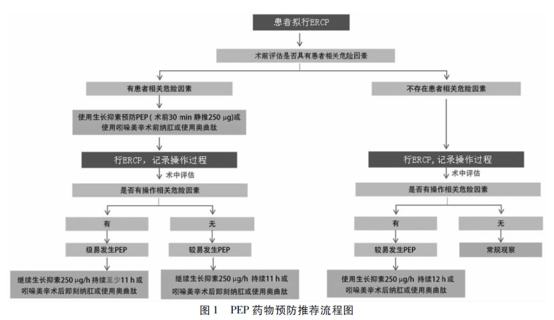经胰胆管造影术,经内镜逆行性胰胆管造影最新进展