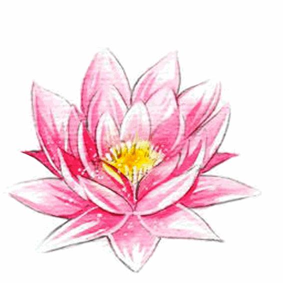 检声廉韵丨苟冬云：玉与高尚品质，孰值？