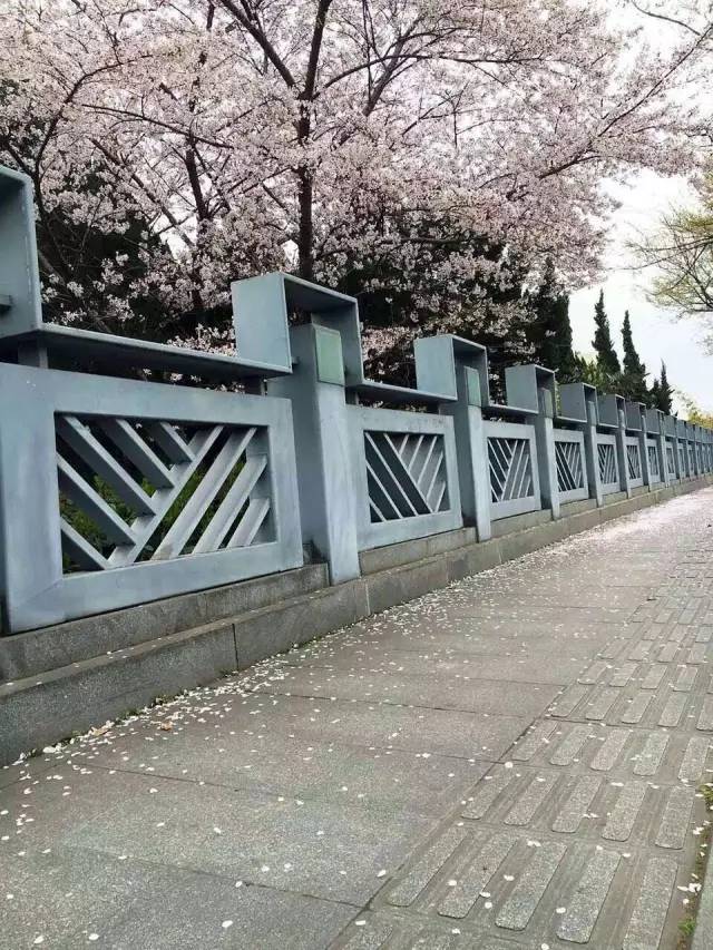 光影魔术手使用教程各工具的用途,光影魔术手怎么把模糊照片变清晰