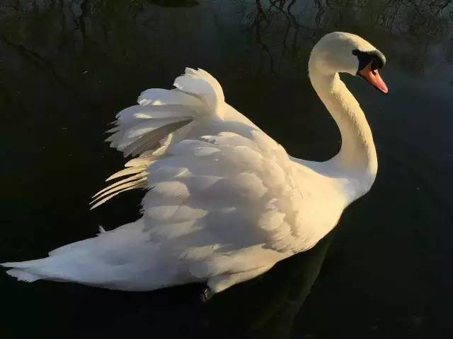 光影魔术手使用教程各工具的用途,光影魔术手怎么把模糊照片变清晰