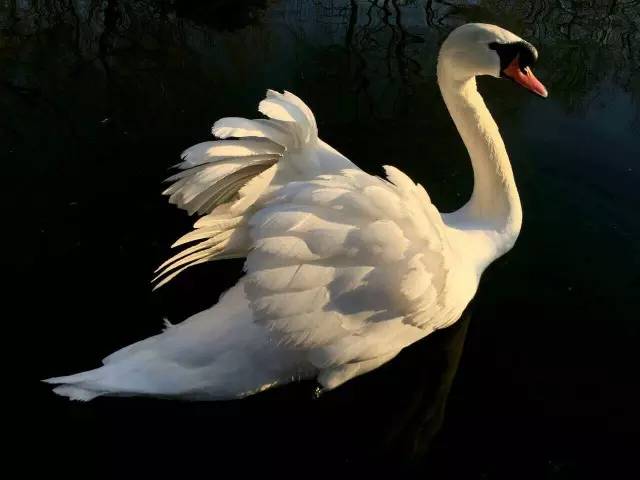 光影魔术手使用教程各工具的用途,光影魔术手怎么把模糊照片变清晰