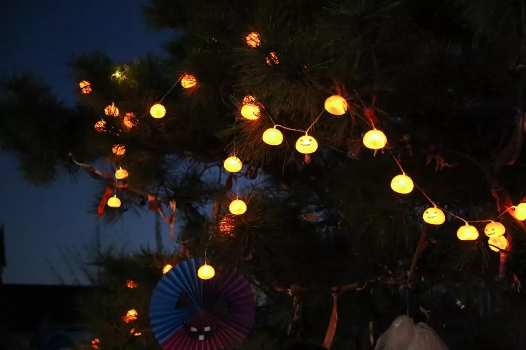 茶园主题民宿,茶园最好的民宿