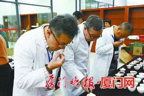 两岸斗茶最新征集,两岸斗茶金奖茶王多少钱