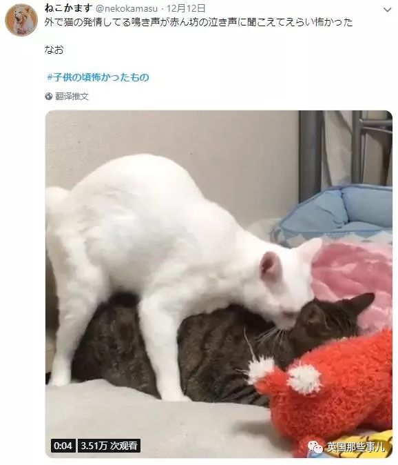 柯南黑衣人童年阴影,柯南童年阴影系列黑影人