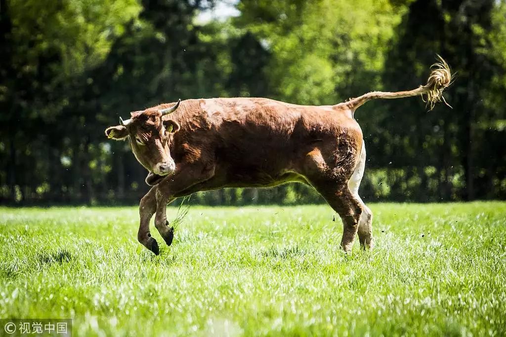 那些年小确幸,以前的那些小确幸