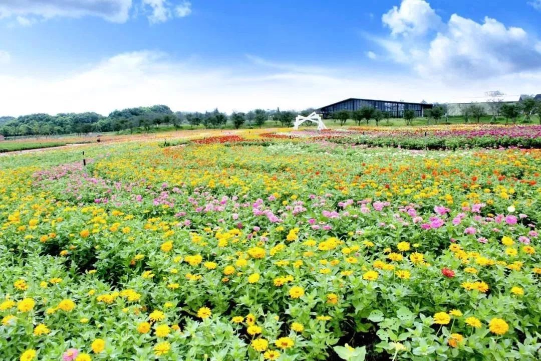 句容最美风景区,你还不知道有哪些美景