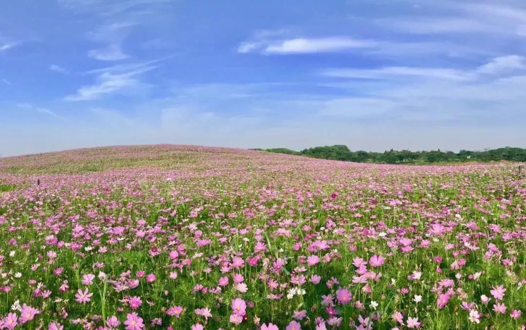 句容最美风景区,你还不知道有哪些美景