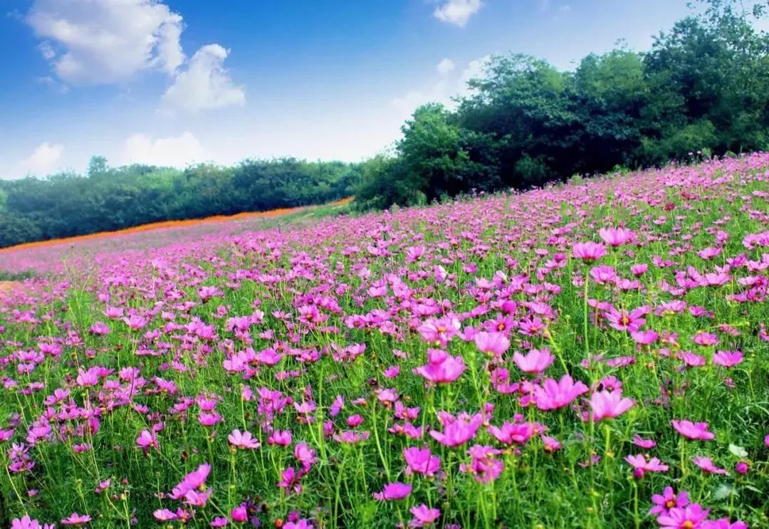句容最美风景区,你还不知道有哪些美景