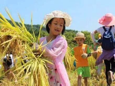 句容最美风景区,你还不知道有哪些美景