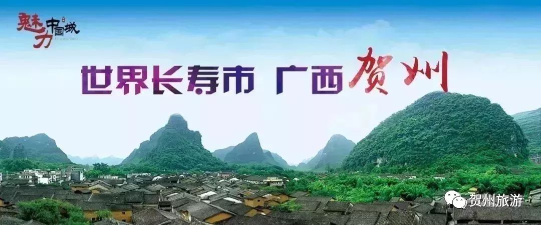 温泉森林氧吧,温泉鸟巢
