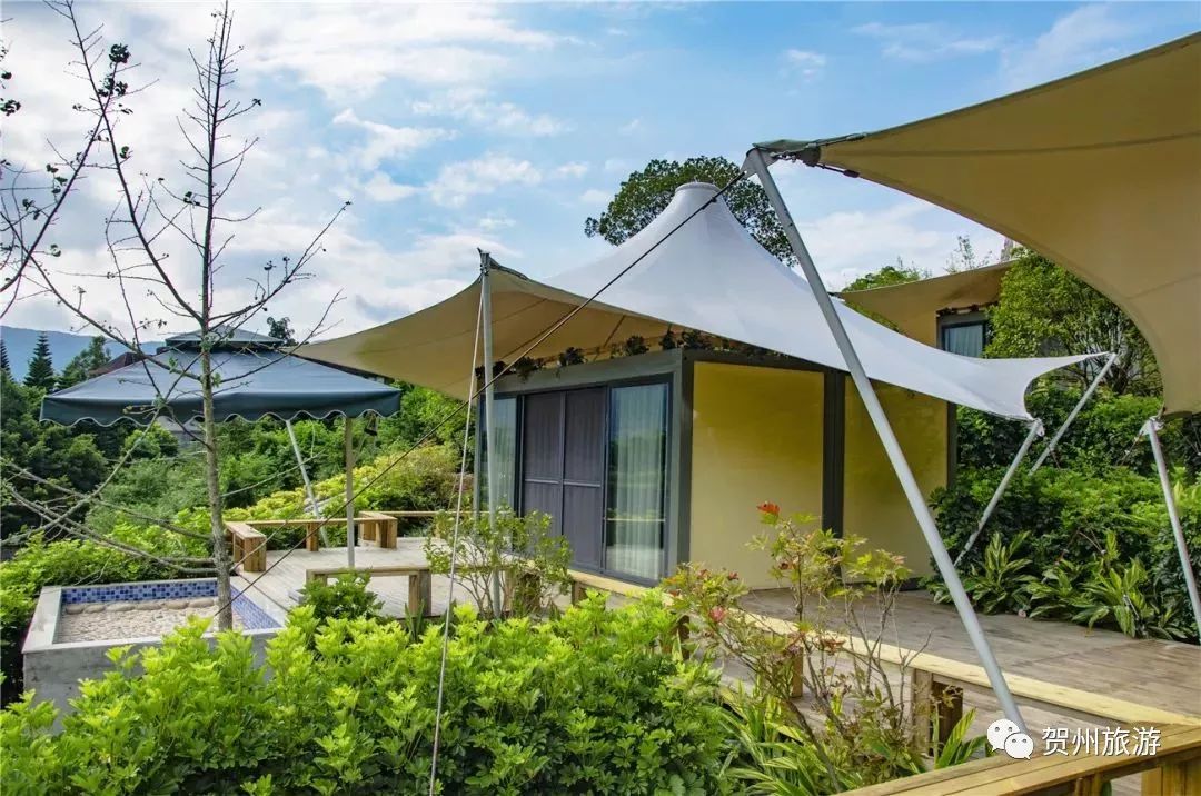 温泉森林氧吧,温泉鸟巢