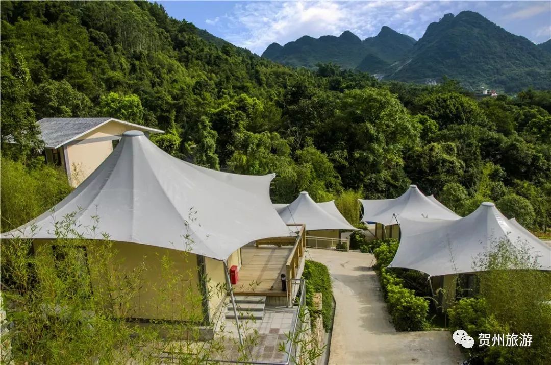 温泉森林氧吧,温泉鸟巢