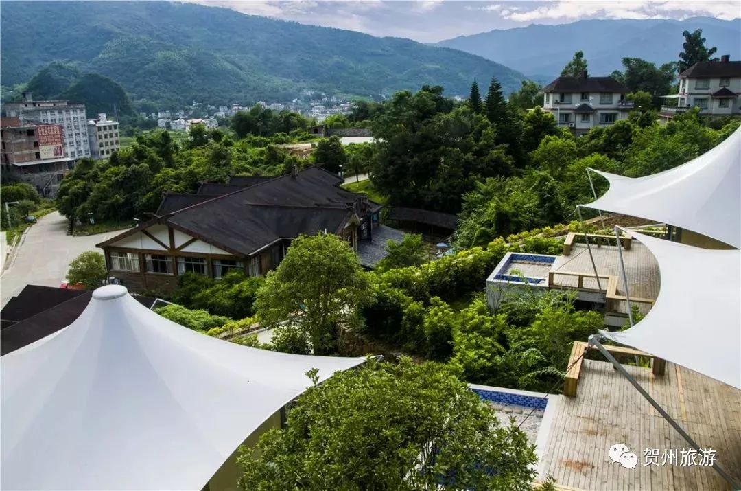 温泉森林氧吧,温泉鸟巢