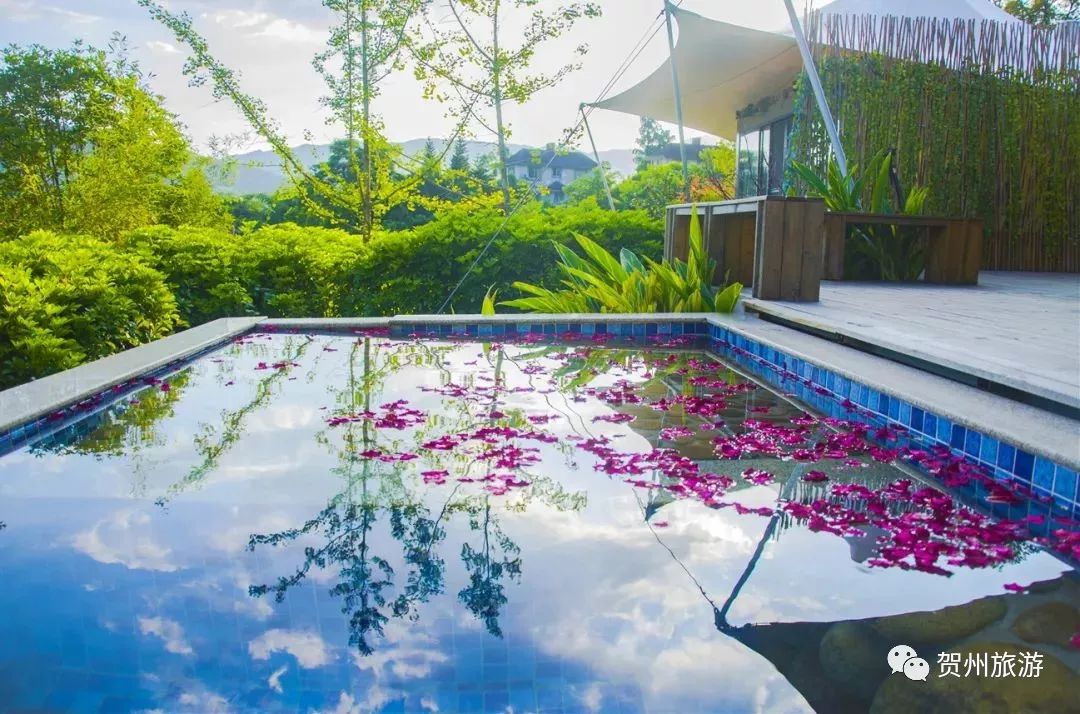 温泉森林氧吧,温泉鸟巢