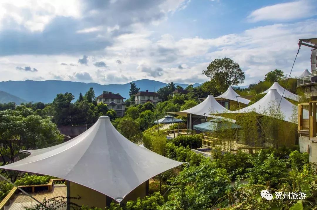 温泉森林氧吧,温泉鸟巢