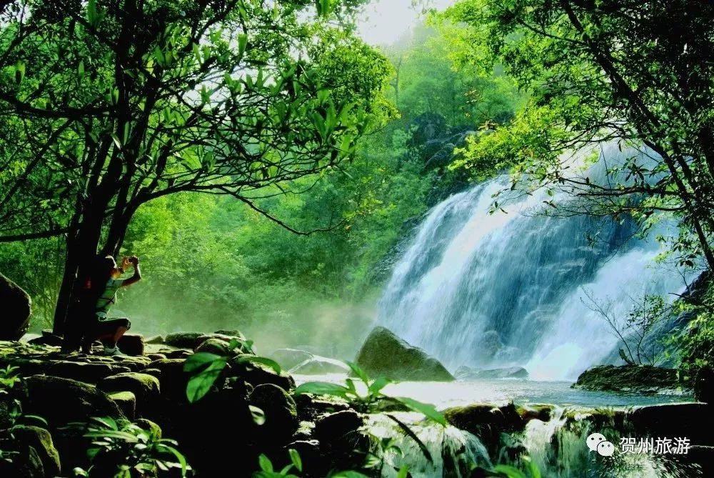 温泉森林氧吧,温泉鸟巢