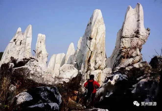 温泉森林氧吧,温泉鸟巢