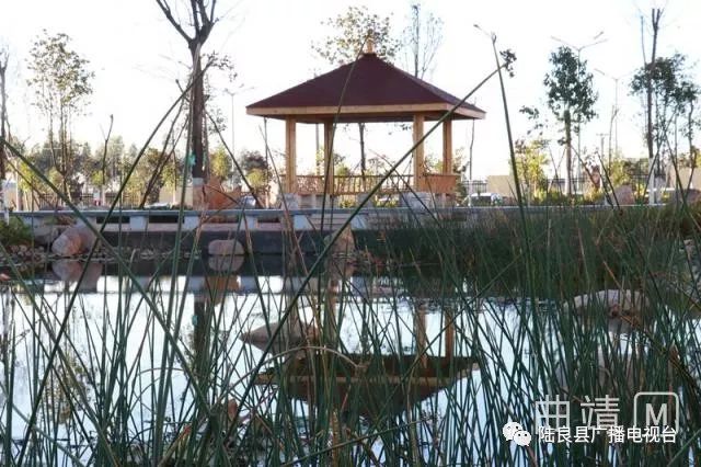 陆良一中景色照片,陆良一中校园风景