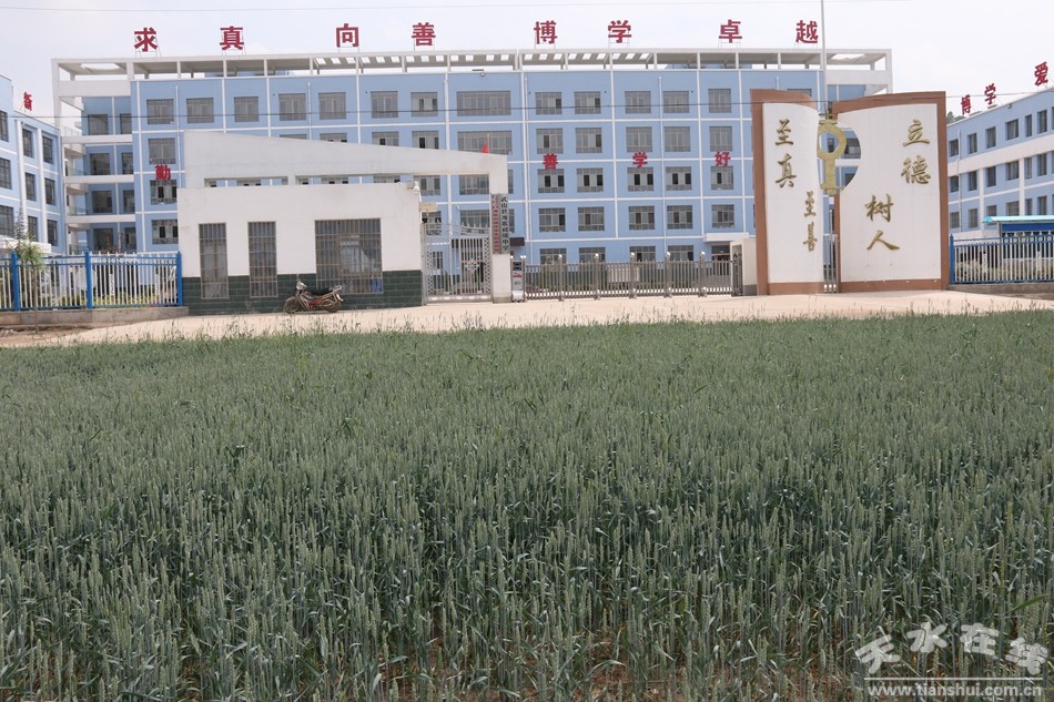 改革开放四十年天水教育事业发展成就综述