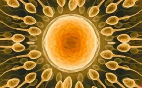 异地恋、姐弟恋陆续见光死，女人如何掌舵成为幸福操盘手？