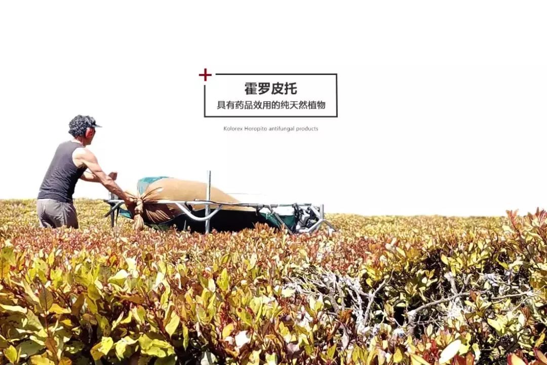 唇膜贴干唇救星,唇干裂用什么护唇