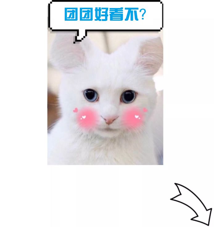 向上向善好青年评选活动通知,小店区向上向善好青年